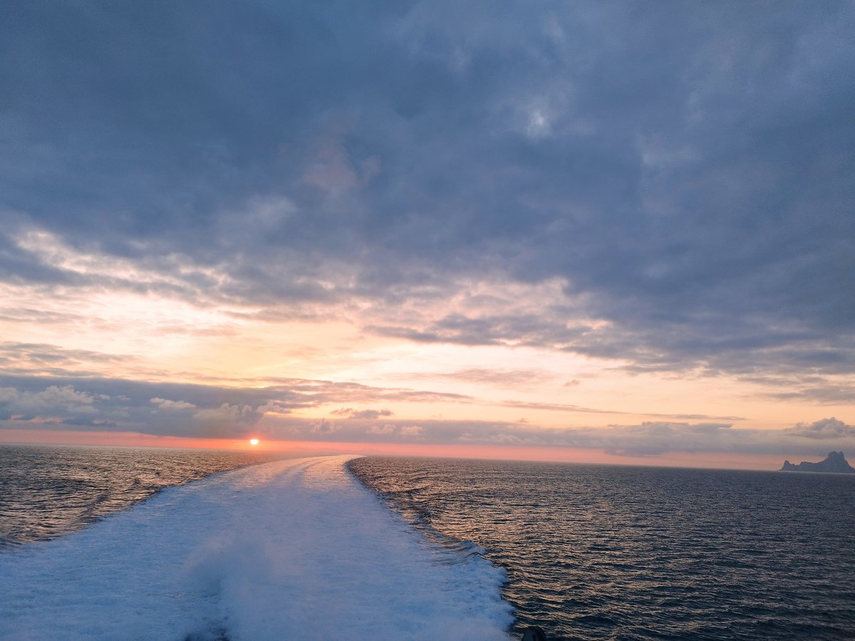 Mª Isabel Cámara Rubio tweet media