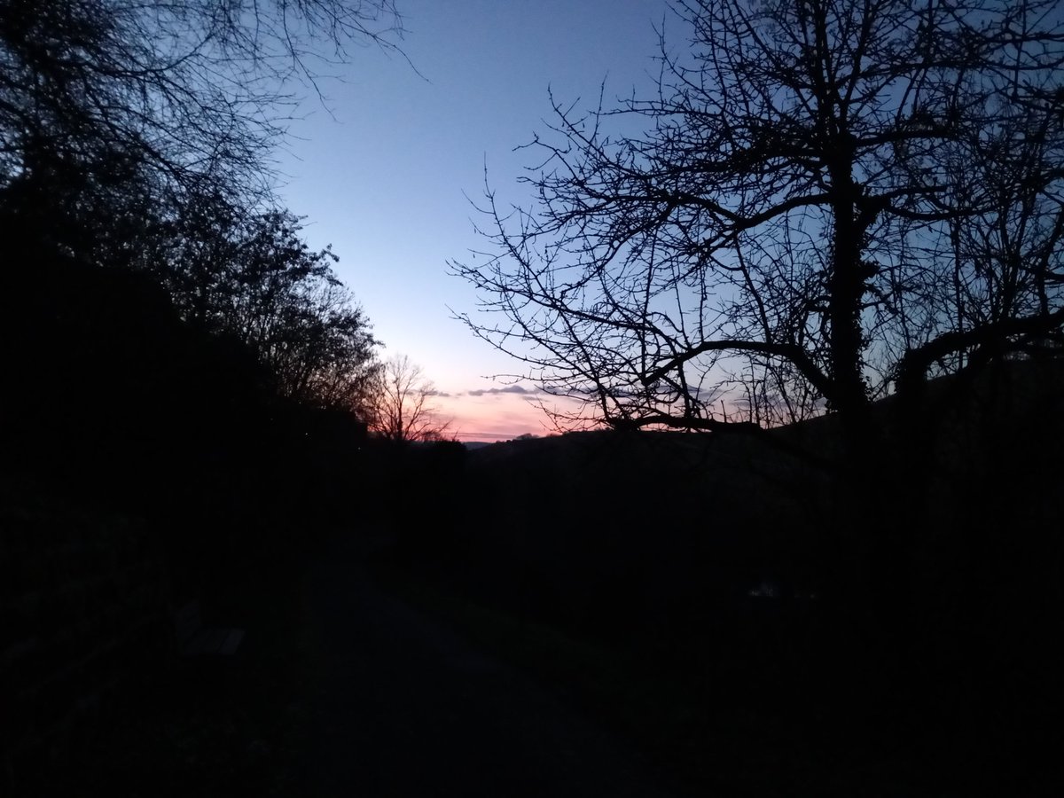 Simon Schäfer tweet media