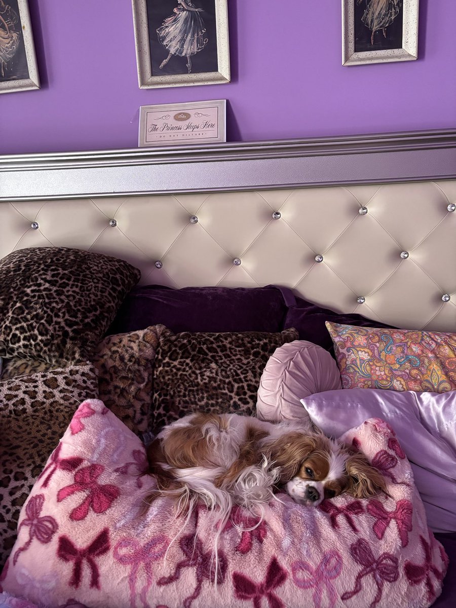 Maureen Van Zandt tweet media