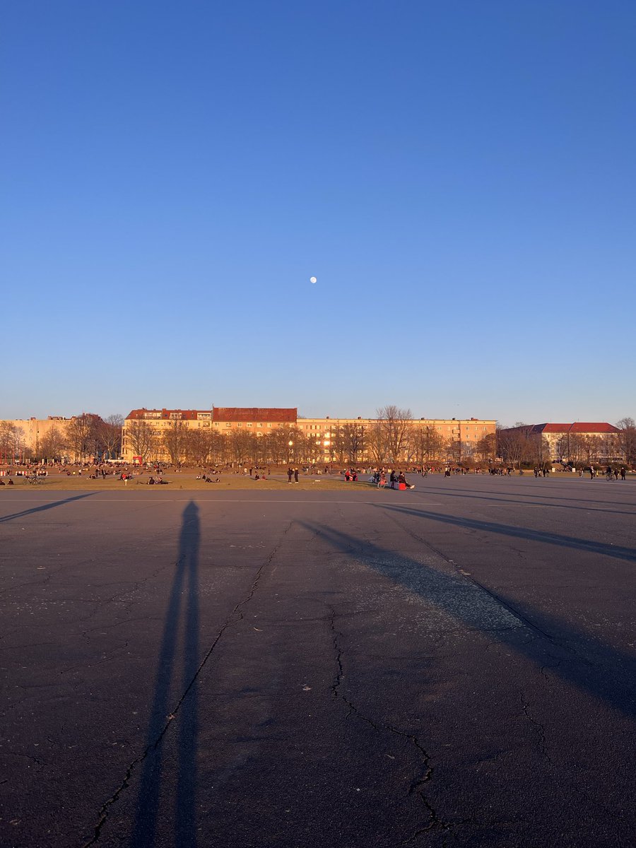 TaSTěmaKočkama tweet media