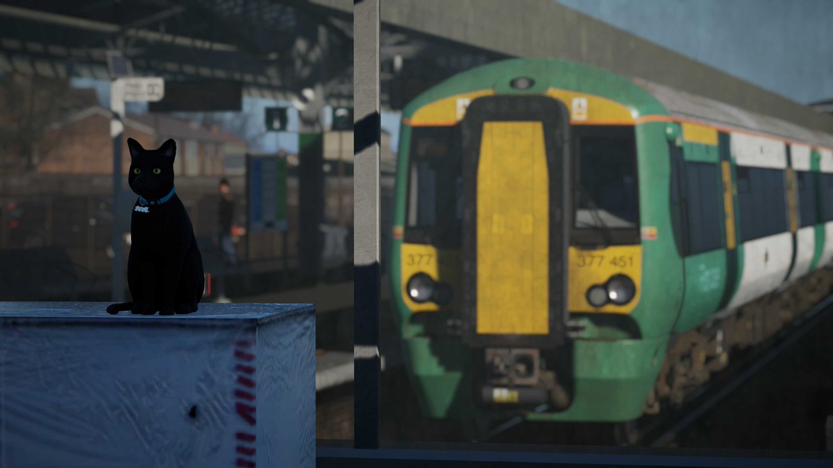 DovetailGamesJP's tweet image. 知っていましたか？
実はEast Coastway Remastered には、なんと新たに9匹の猫チャンが登場しています😺

ぜひ見つけてみてください🕵️‍♂️

📸 画像提供：Reeceさん

#TSW6