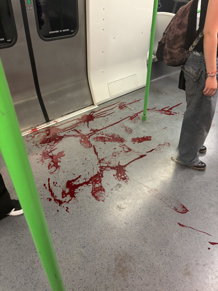 🚨Así quedó el vagón del metro luego de la Pelea a puñaladas de cantantes urbanos en uno de los vagones del metro de viña del mar.