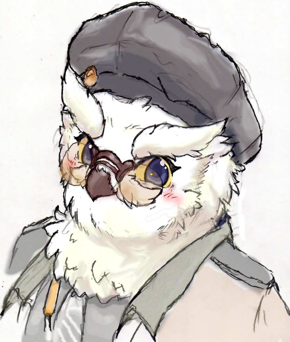 にゃんた＠あにまる村だより tweet media