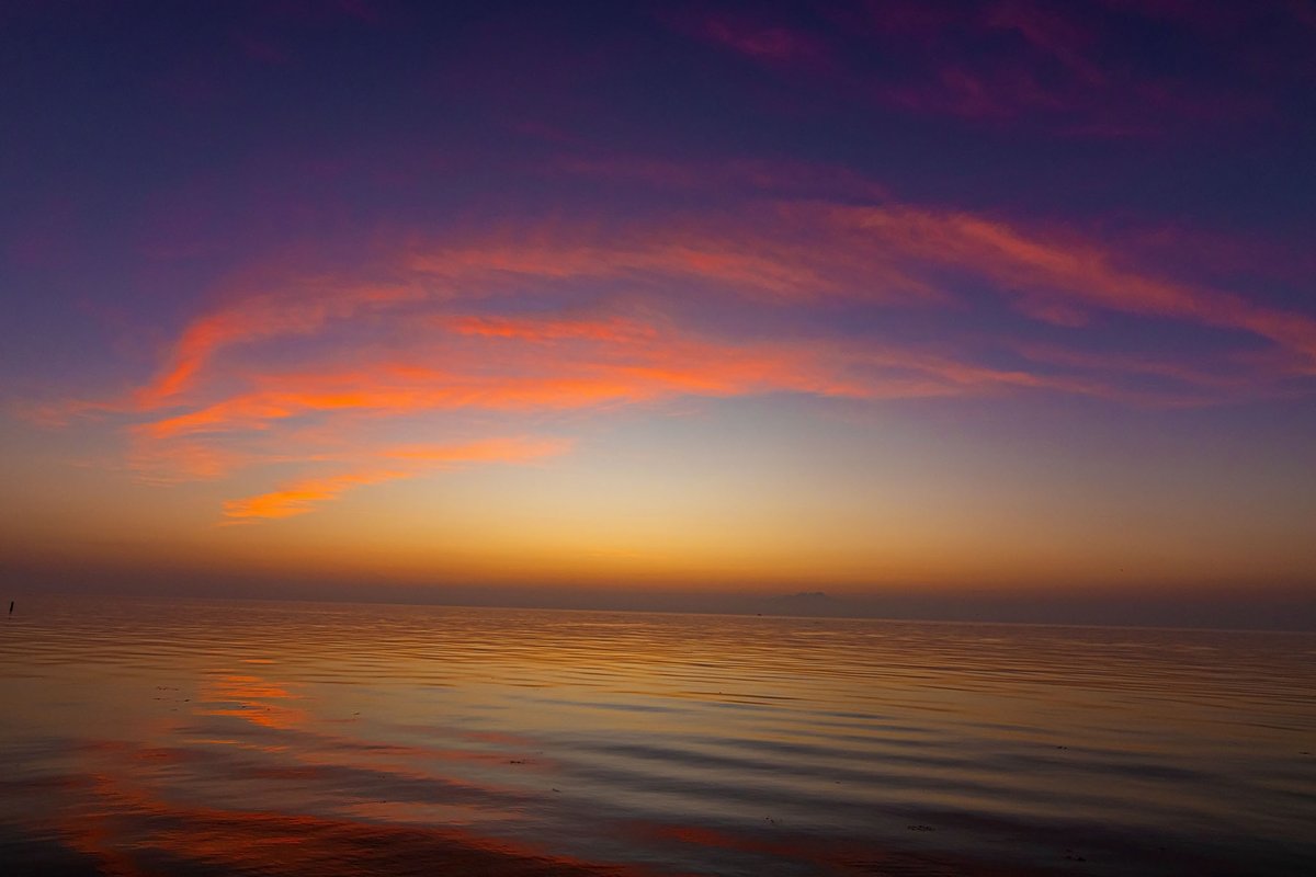 Branch Floridian tweet media