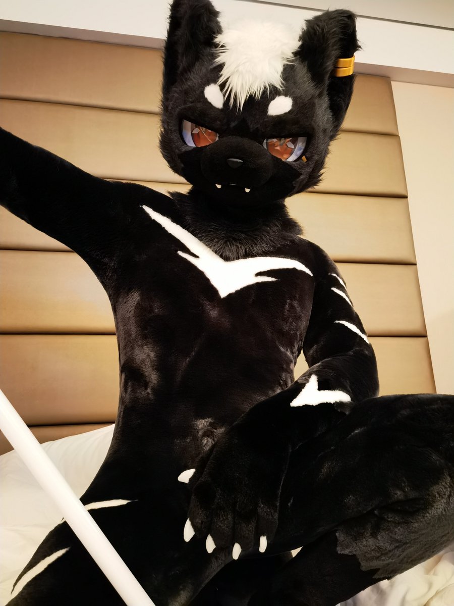 刚铎的白树 tweet media