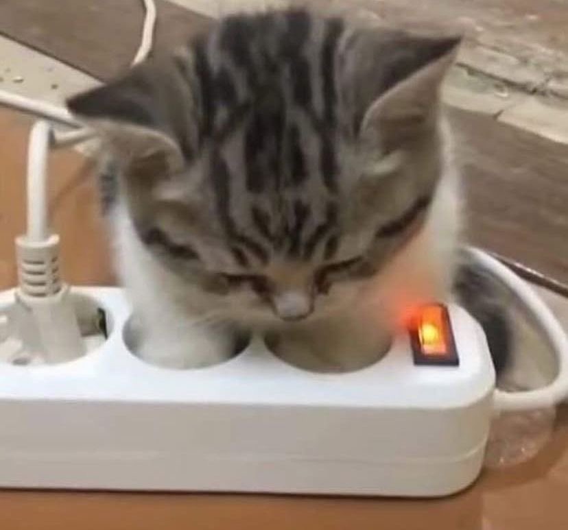 memohon maaf karena lalai sudah menumpuk upchar berhari-hari. 😢💧🙏🏻