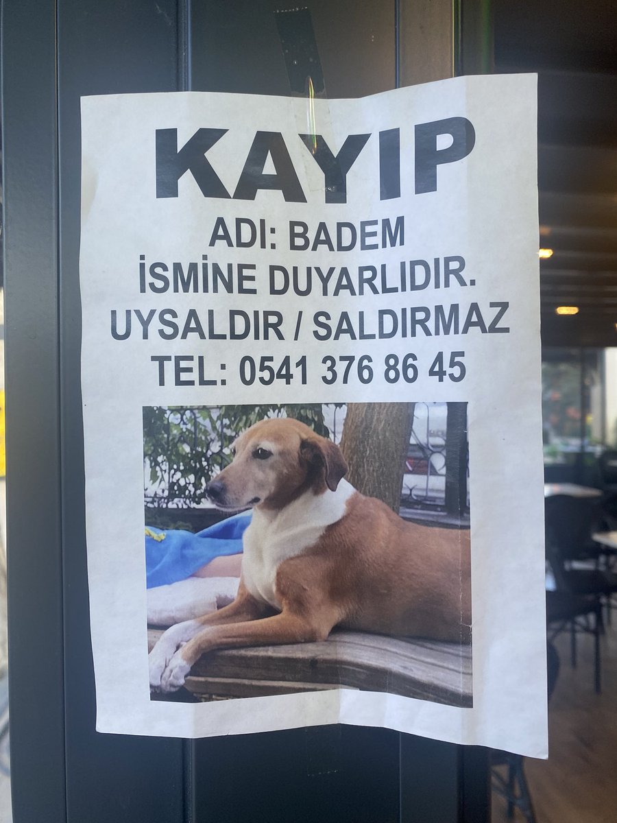 anittepe tarafinda kaybolmus 😔😔😔😔😔😔😔😔😔😔