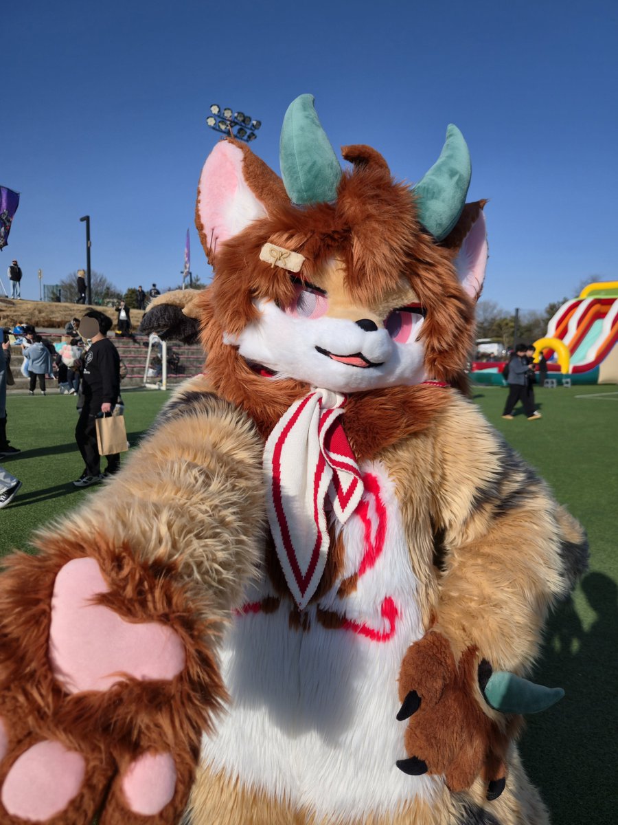 호산달 tweet media