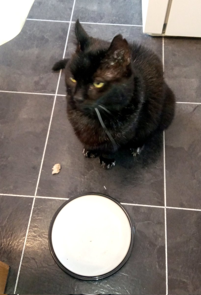 Nigel Sadler tweet media