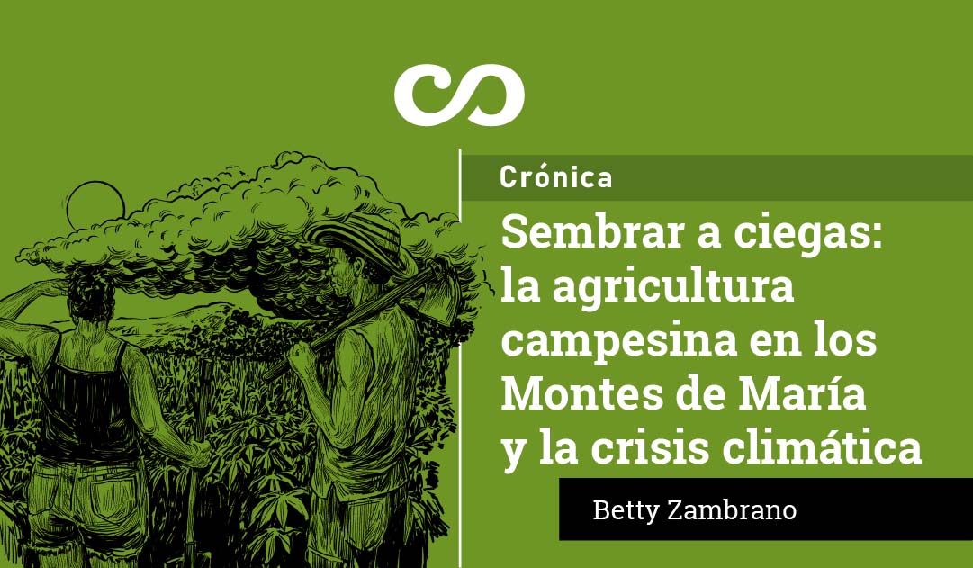 Casa_Macondo's tweet photo. En María La Baja, el calendario ancestral ha muerto bajo una inestabilidad que redujo las cosechas en un 40 por ciento. Mientras el Estado responde con burocracia, los campesinos enfrentan el ciclo de inundaciones y sequías que amenaza con vaciar los platos de las ciudades más grandes del Caribe.
https://t.co/v3KZATihSW