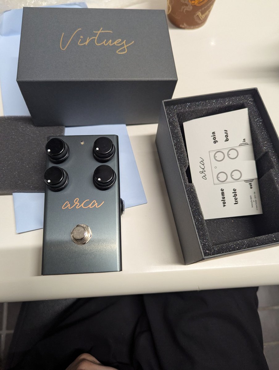 virtues arca MNGしました🎸 歪はほぼvirtues になりました🐾 #virtues