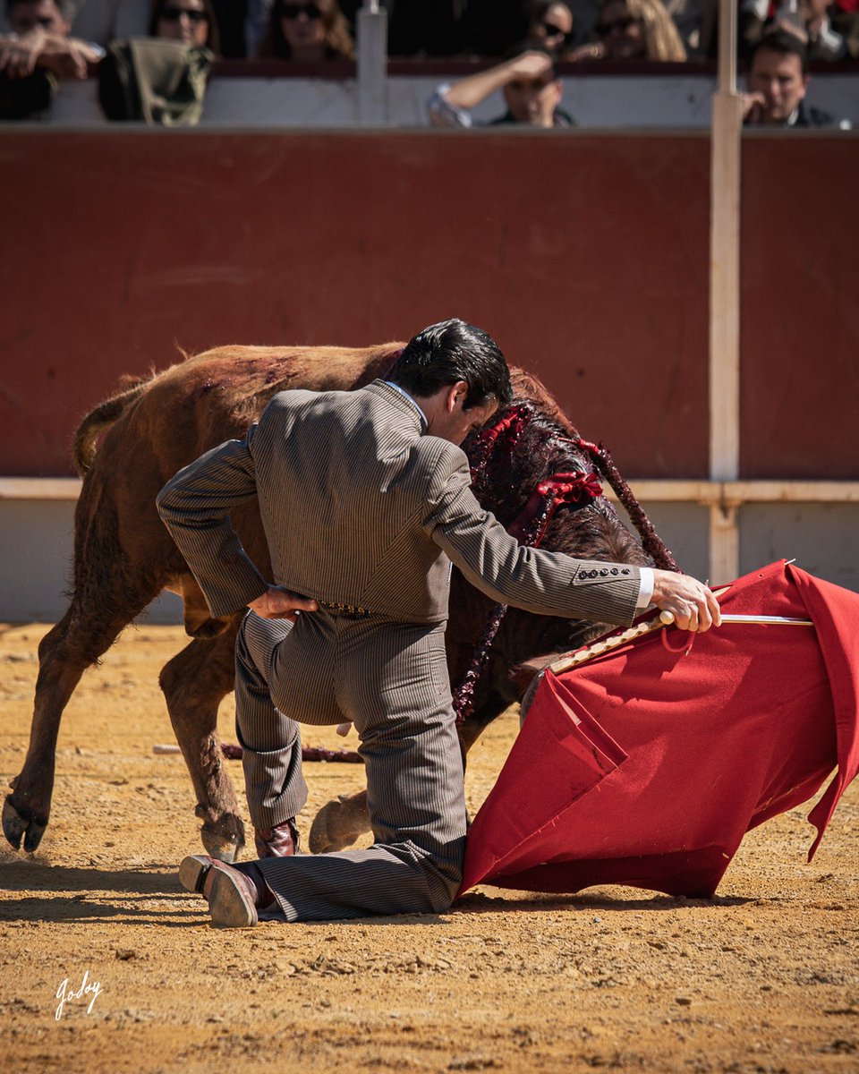 El arte de Belmonte tweet media
