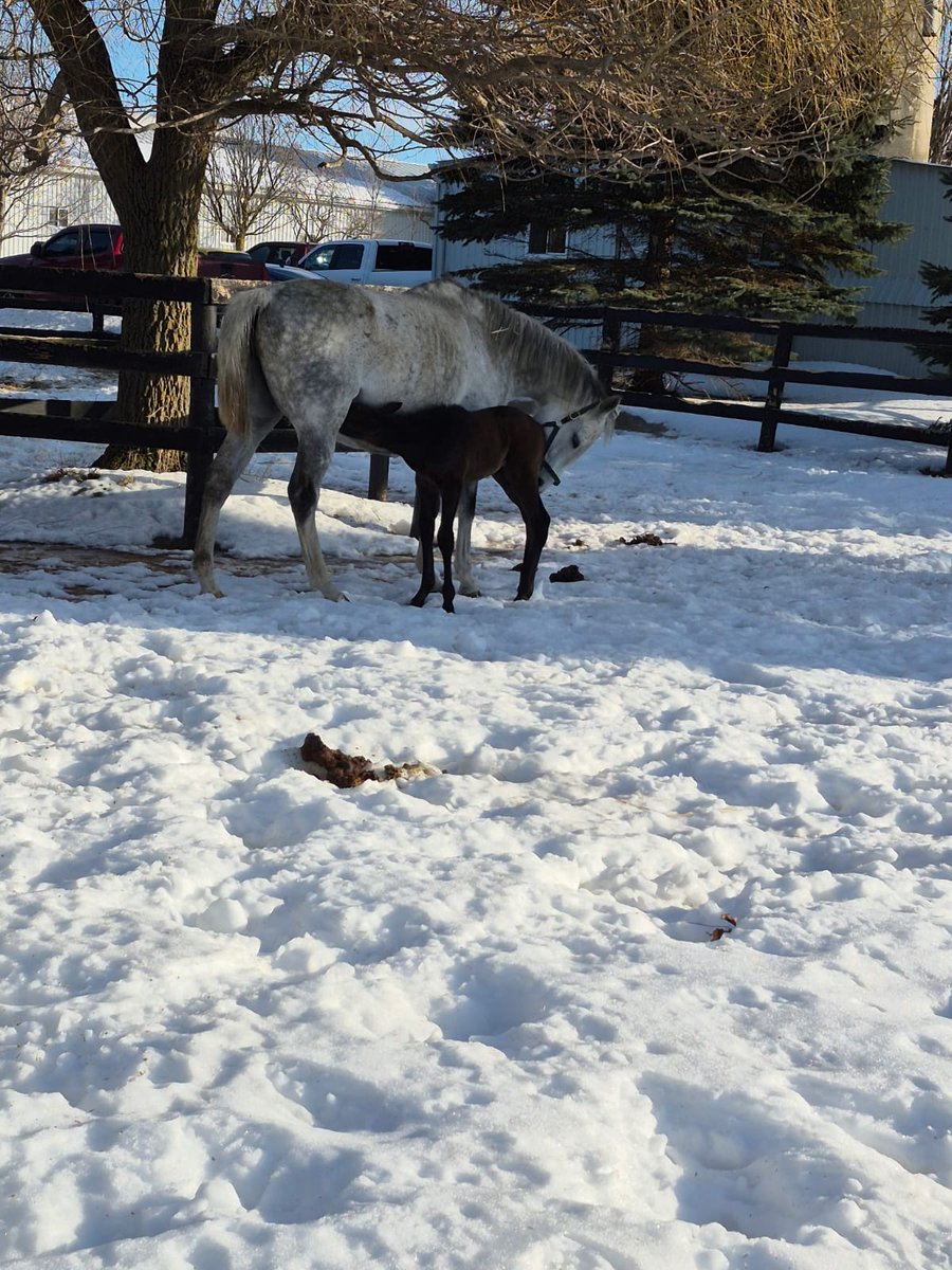 kertjk's tweet photo. @GloriousAllianc Mar 1 https://t.co/SP6Ek53WhL