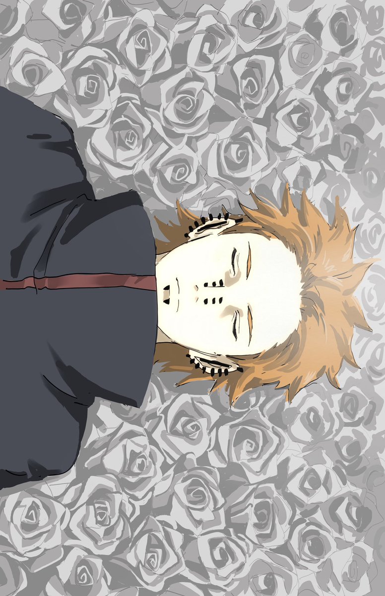 万年参 tweet media