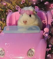 I did my taxes like a big girl
