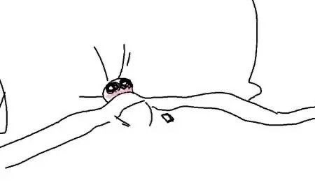 Falen 🍰🍓 tweet media