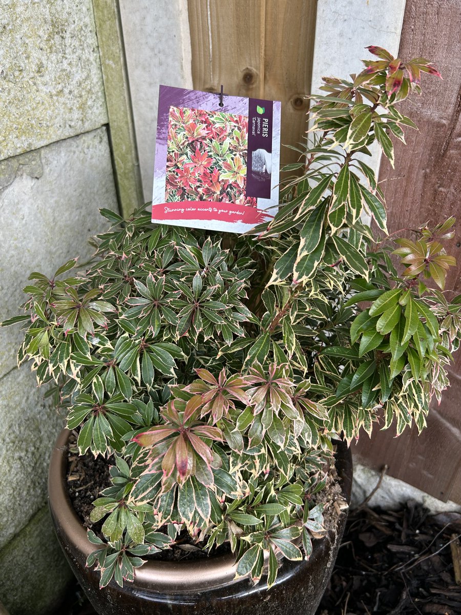 Kate Gordon tweet media