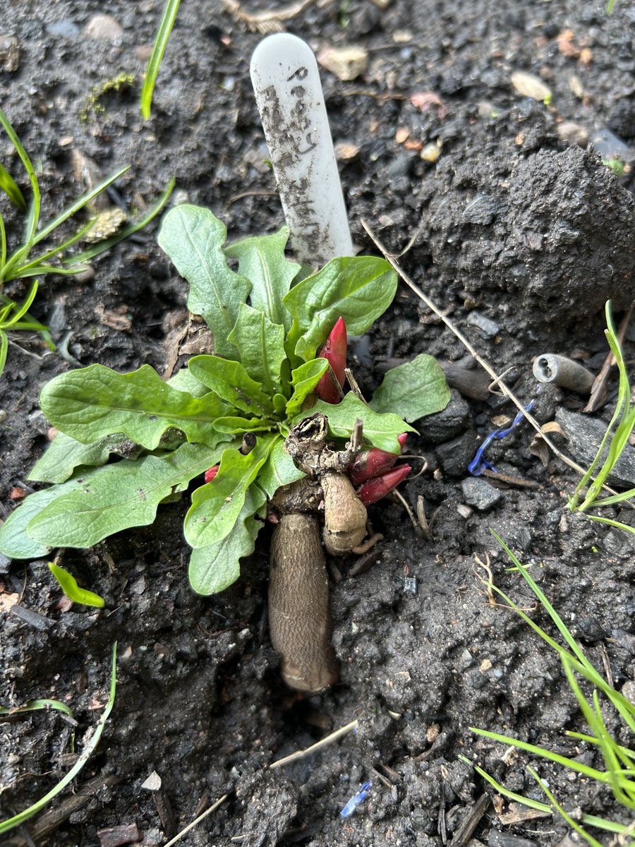 Kate Gordon tweet media