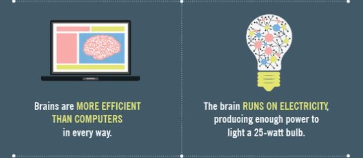 Neuron Powers 🧠 (@neuronpowers) on Twitter photo 