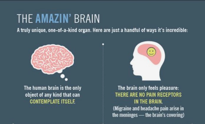 Neuron Powers 🧠 (@neuronpowers) on Twitter photo 