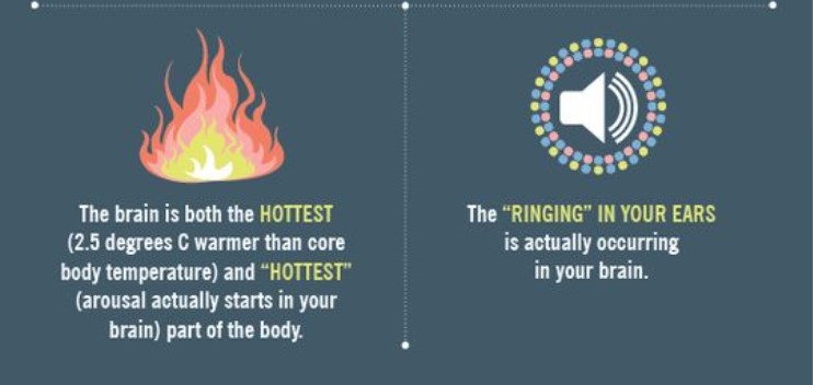 Neuron Powers 🧠 (@neuronpowers) on Twitter photo 