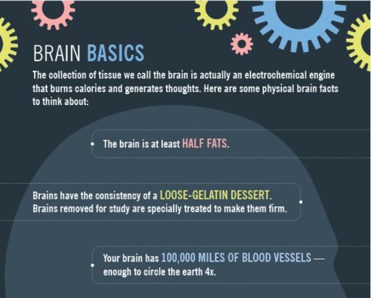 Neuron Powers 🧠 (@neuronpowers) on Twitter photo 