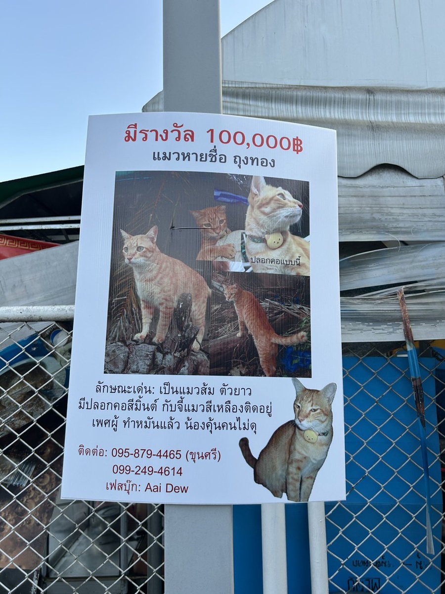 เมื่อเช้าผมก็เจอป้ายน้องถุงทองครับ🥺