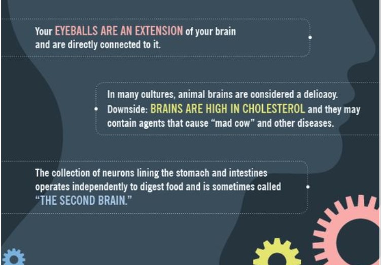Neuron Powers 🧠 (@neuronpowers) on Twitter photo 