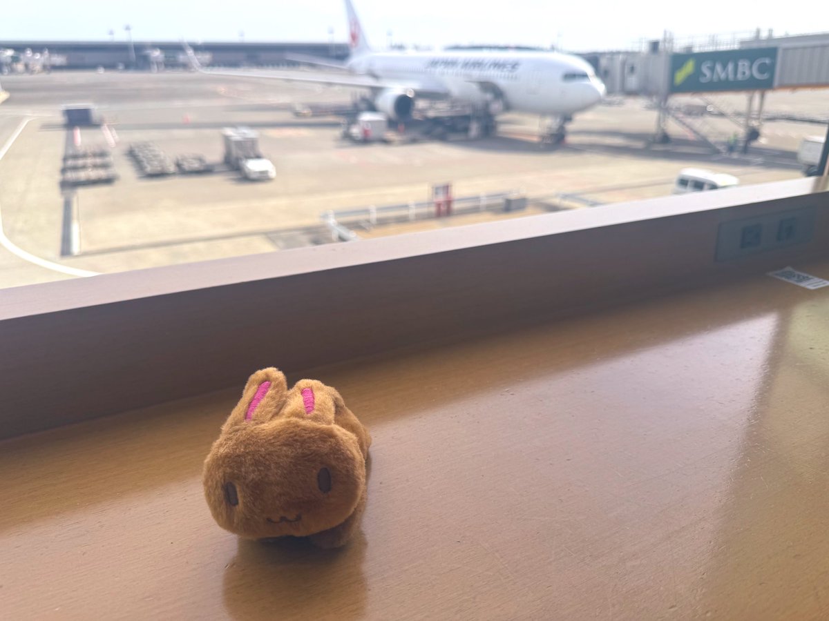 daicon_227's tweet photo. 🇯🇵🛫 https://t.co/nkwq3vG9e9