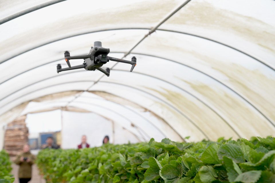 UKAgriTech's tweet photo. Stay up to date with what we're up to by signing up to our monthly newsletter!
👉Subscribe here: https://t.co/IDzQnY3PYw
#agritech #agribusiness #GrowYourOwnWay #controlledenvironments #roboticsandautomation #advancedsensors #AIanddatasystems #engineeringbiology https://t.co/v7dzltrIKa