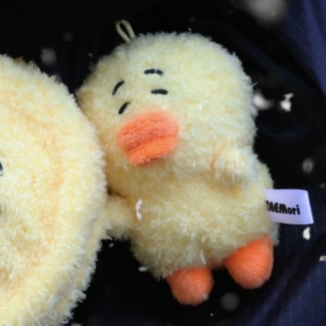 janelouibloom's tweet photo. WTS TAEMIN Cozy Nest MD - 8cm Doll Keyring Taemori 🐥 @ IDR 295k

Order bs dm or Shopee (+adm) bs req splitpay
https://t.co/iNUAxixq1x

t. #taemin SHINee concert 2026 seasons greetings sharing pc photocard photobook shawol taemari #SHINee https://t.co/vv90RWShld