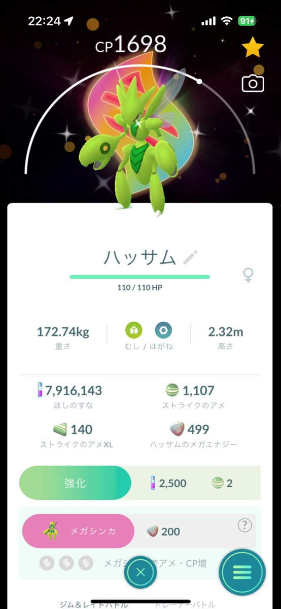 NWxa0's tweet photo. 2日間お疲れ様でした。
ジガルデセルのためにルート頑張ったら足��れた🤕

持ってない色違い何体かと、ハッサムの背景色違い出てよき💪 https://t.co/2C10aaRQ3U