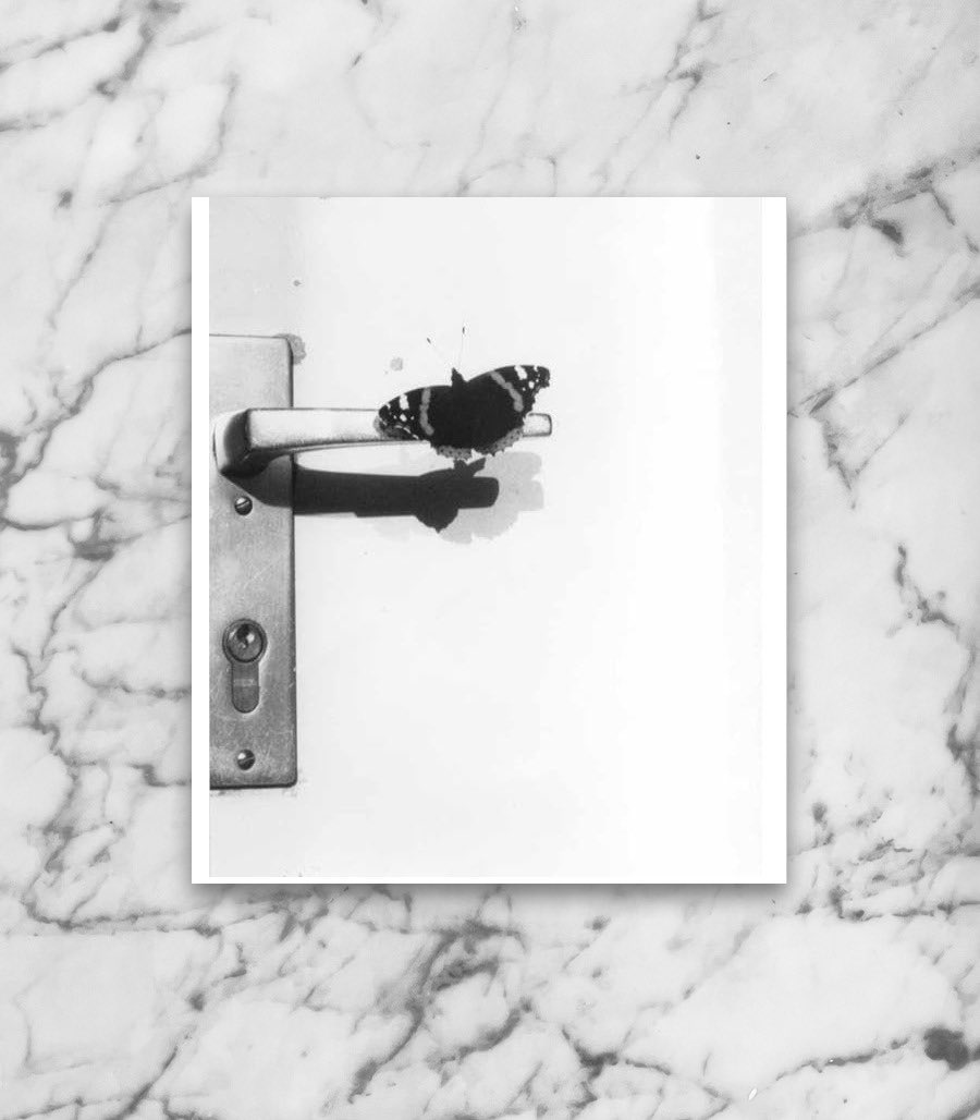 📷 Jochen Lempert

#apart #photography #visualart #aestheticmodernism #trapa