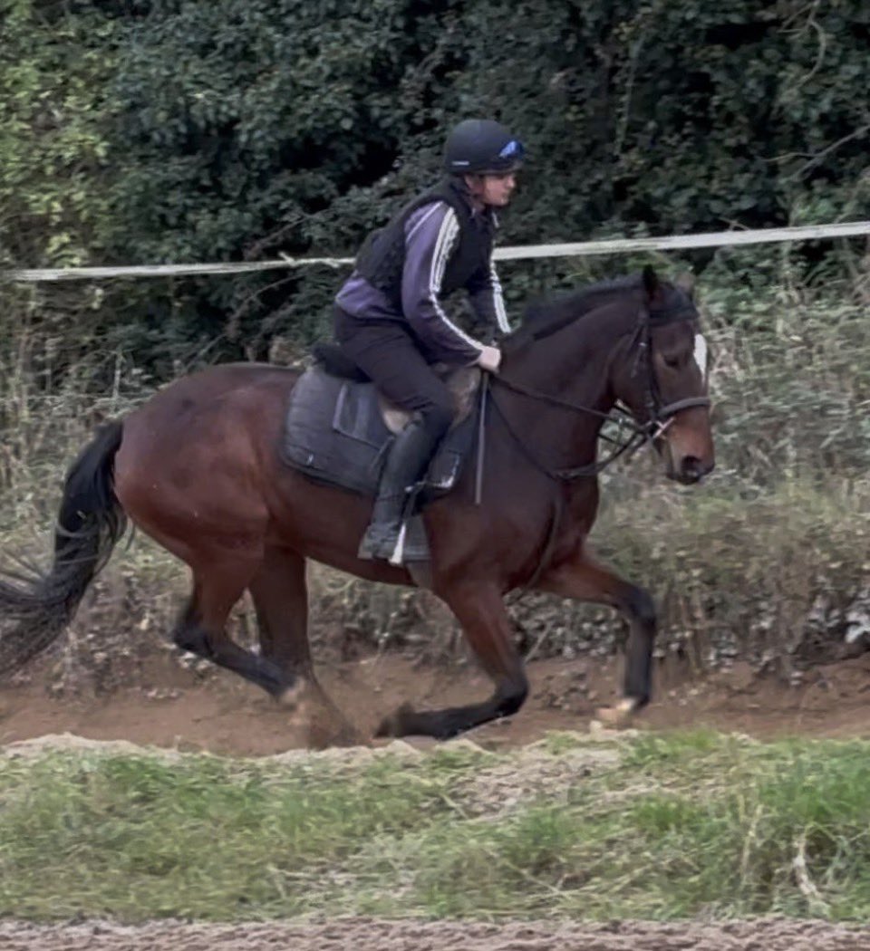 Closutton Racing Club tweet media