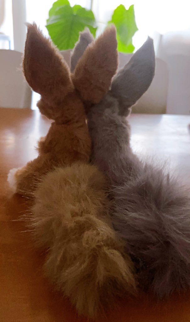 バレンタイン双子の子が、それぞれ素敵なご縁があり、無事に新しいお家