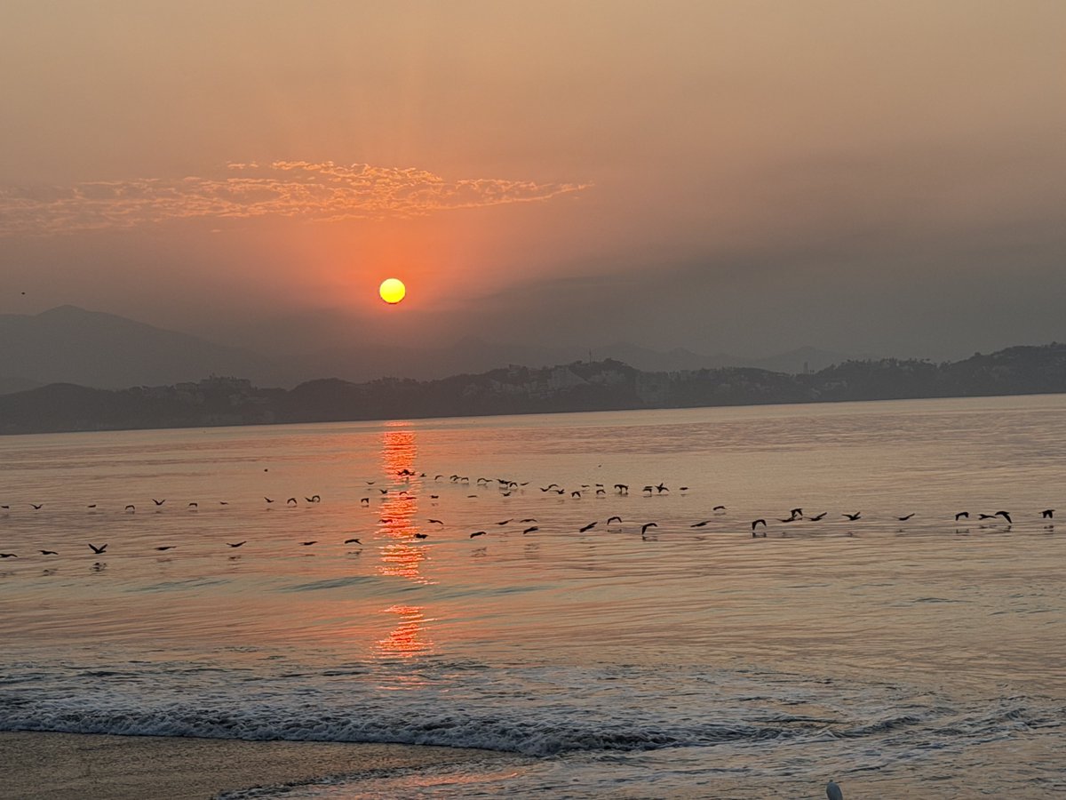 Ricardo Montes tweet media