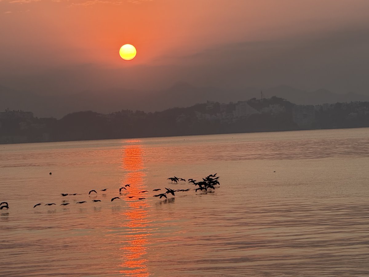 Ricardo Montes tweet media