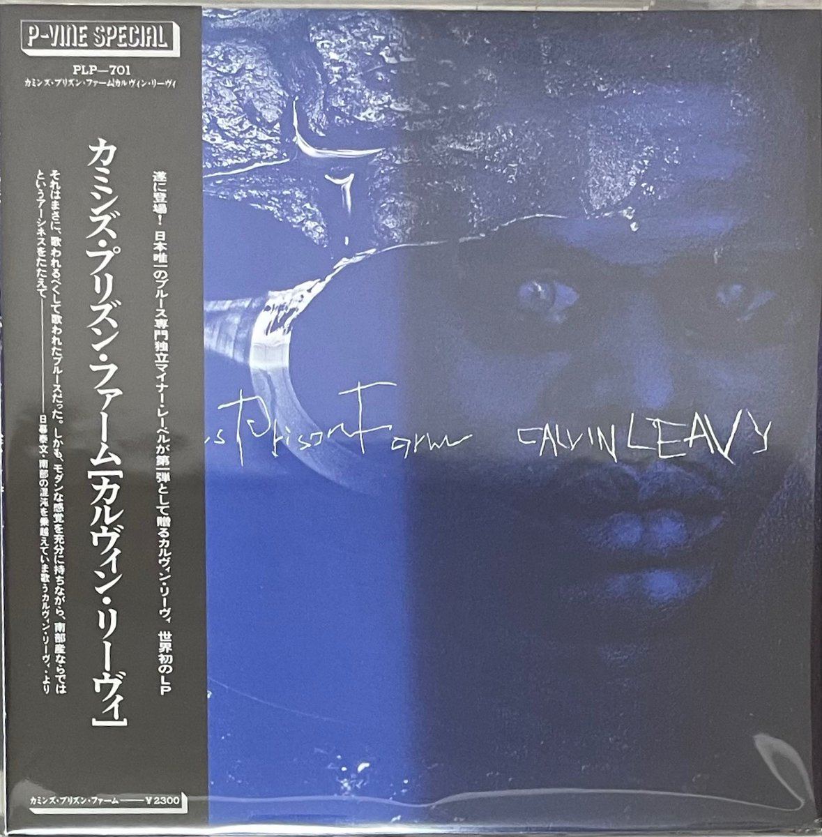 処分ついでにレコード1枚だけ ああP-VINEねって感じで普段はスルーする