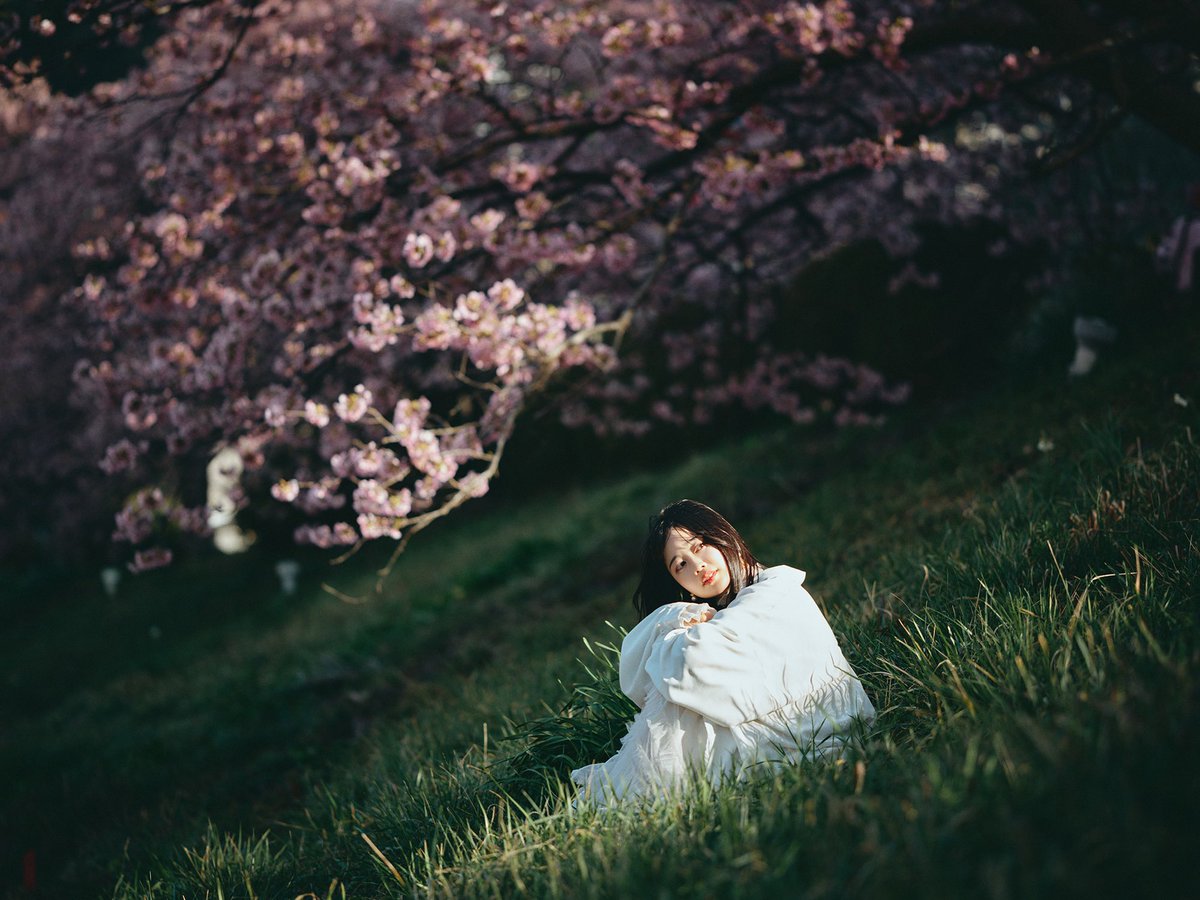 acek_77's tweet photo. 光の捉え方がやっぱり好き。
XCD135mmいいレンズだなぁ。

#Hasselblad https://t.co/AzAQbd896v