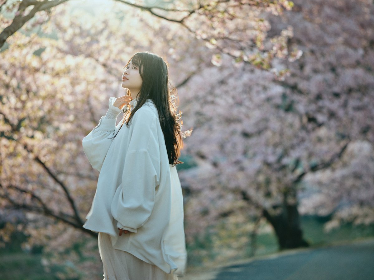 acek_77's tweet photo. 光の捉え方がやっぱり好き。
XCD135mmいいレンズだなぁ。

#Hasselblad https://t.co/AzAQbd896v