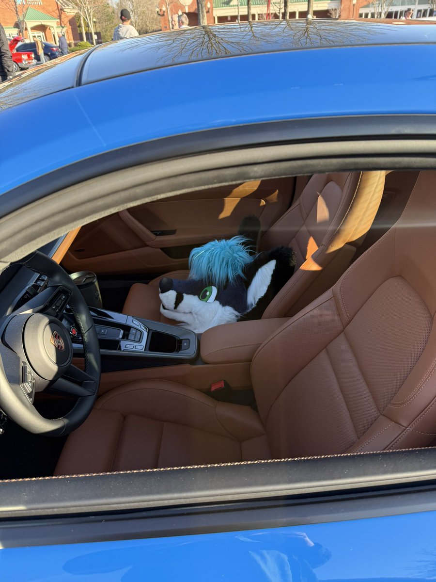 UrS6 Avant Enjoyer tweet media