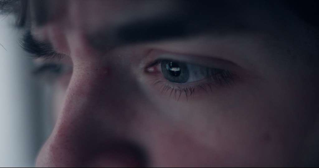 americus tweet media