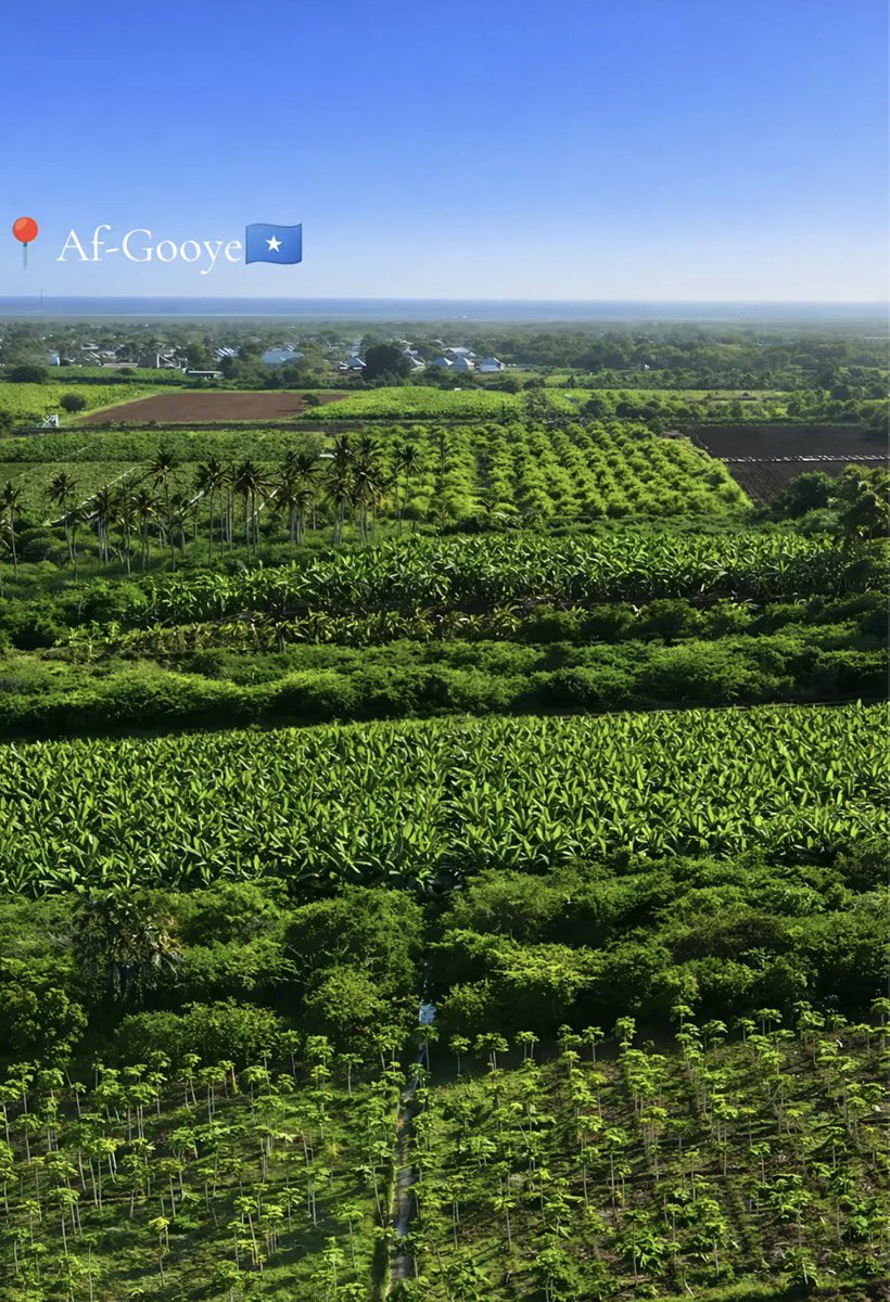 From imports to independence. Reclaiming our food security. #Afoogye🇸🇴
