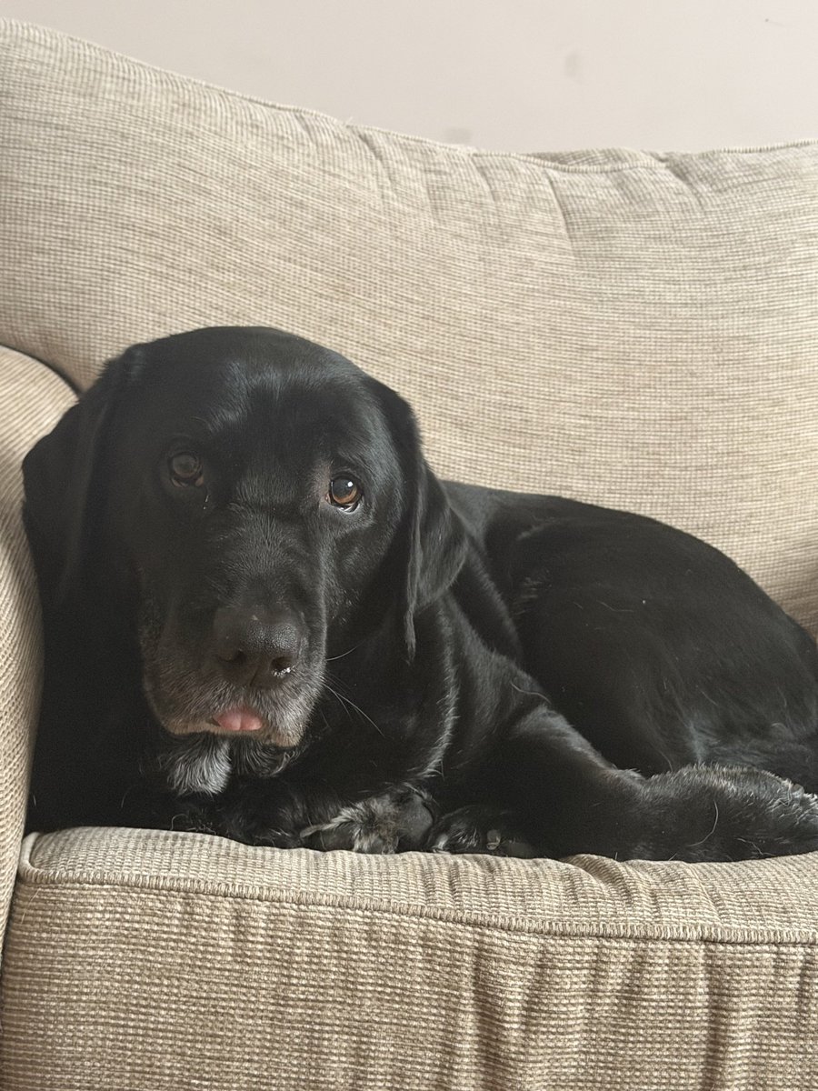 Deepti Sharma tweet media