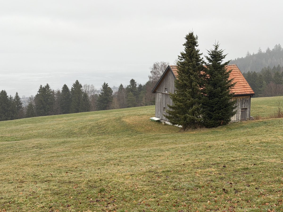 marcusflepp's tweet photo. Wetterlage heute in #Eggersriet https://t.co/lp49xecv1q