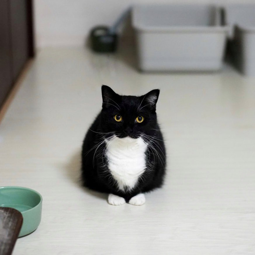 I'm Uni :3 tweet media