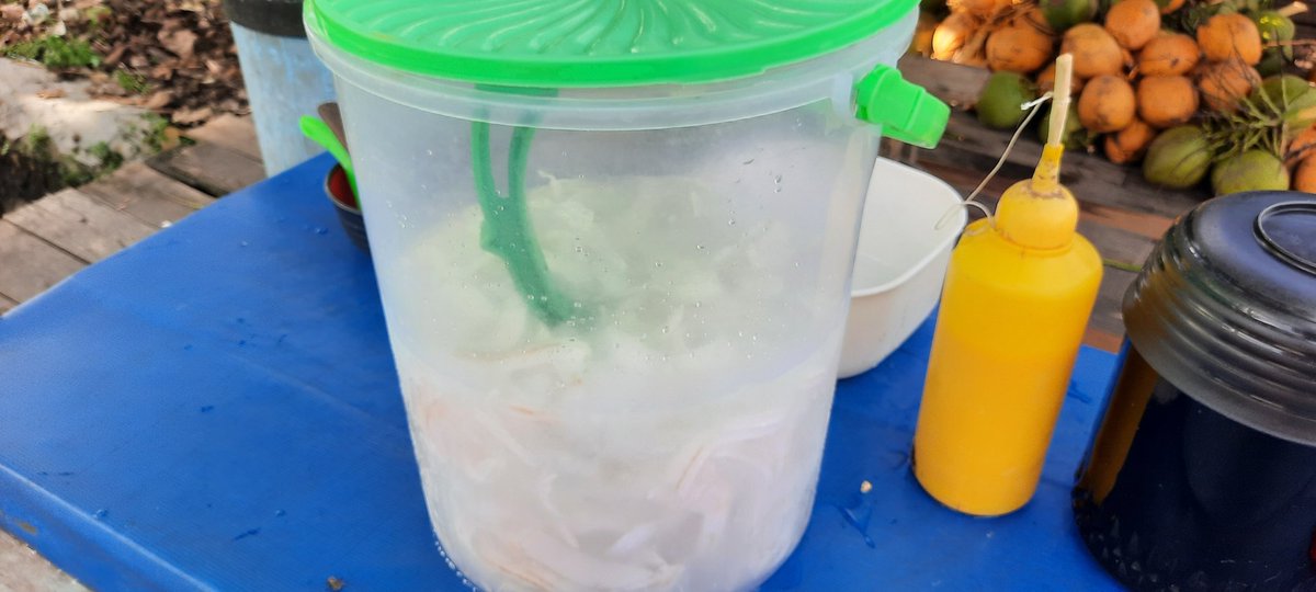 AlatinoAkbar's tweet photo. Buat buka puasa beli ini aja
Jangan lupa like &amp; subscribe iya

https://t.co/12q5sGtZcN

#eskelapamuda
#kelapamuda https://t.co/dwdp66AiKv