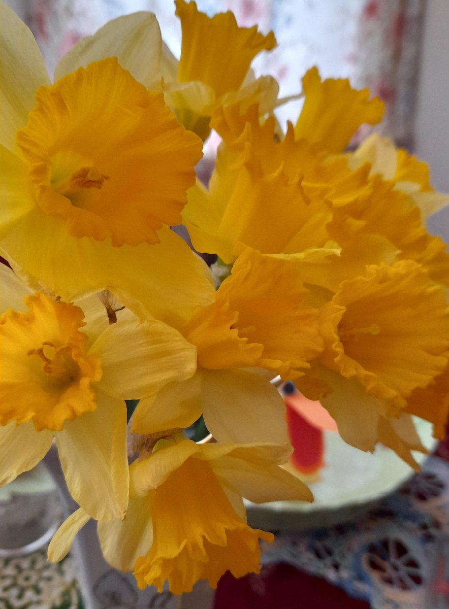 Lost_In_Films_'s tweet photo. How are we already March 1st 😯 #HappyStDavidsDay https://t.co/1qMng8dGV5
