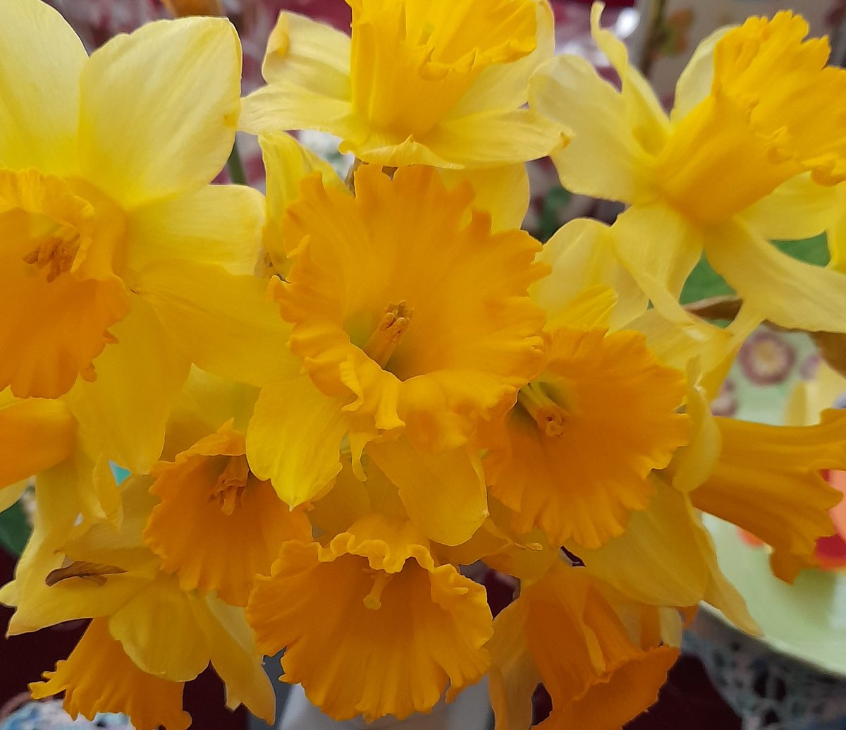 Lost_In_Films_'s tweet photo. How are we already March 1st 😯 #HappyStDavidsDay https://t.co/1qMng8dGV5