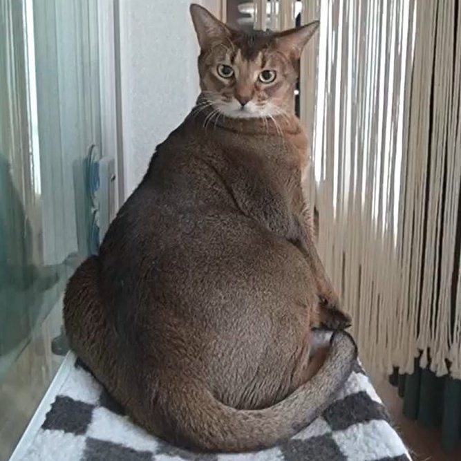 เป็นอีกหนึ่งวันที่เปิดต้อกต้อกไปเฉยๆละสุ่มเจอคนเม้นบูลลี่ลีออน คืออยู่เฉยๆก็มีซีนนะน้องนะ เฟมัสมากลุกป๊าเตน